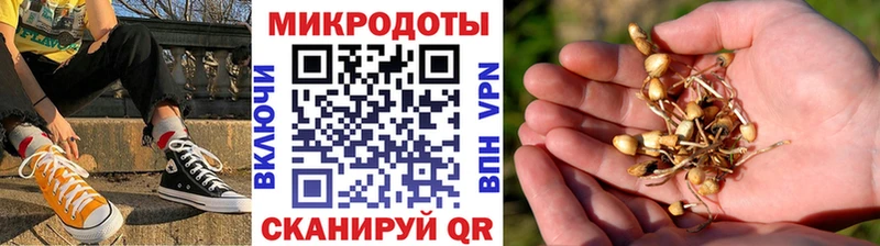 наркота Гаврилов-Ям Псилоцибиновые грибы мицелий