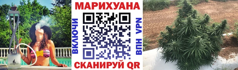 мориарти какой сайт  Гаврилов-Ям  Каннабис Bruce Banner 